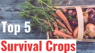 Best Survival Crops for Gardeners and Homesteaders