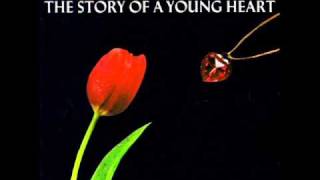 A Flock Of Seagulls - Remember David