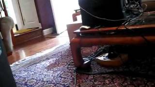 Video thumbnail for Review  Pyle Audio PADH212 dual 12 speakers by pylecustomerreview