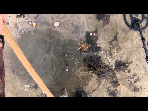 Deep Gold Ring at the Beach