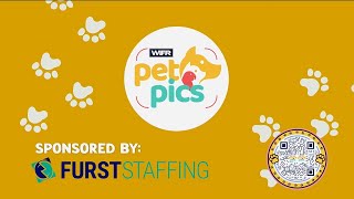 WIFR Rockford: Pet Pics sponsored by Furst Staffing (Promo)