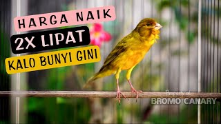 Download lagu BEST Canary Training: Long, Gacor Song with Ciblek Sounds - Perfect for Young Canaries Learning mp3 Download lagu BEST Canary Training: Long, Gacor Song with Ciblek Sounds - Perfect for Young Canaries Learning mp3