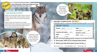 ACADEMY STARS 2 UNIT 1 WOLVES