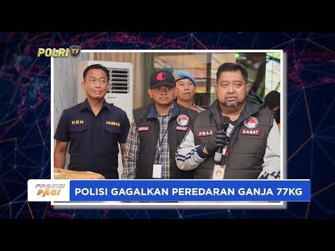 POLRES METRO JAKARTA UTARA GAGALKAN PEREDARAN GANJA 77KG