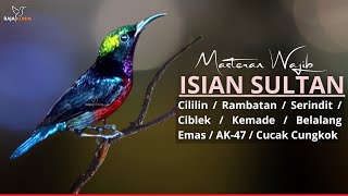 Download lagu PANCINGAN KONIN GACOR FULL NEMBAK ISIAN TONJOLAN MEWAH COCOK BUAT MASTERAN KOLIBRI NINJA BAHAN - 032 mp3