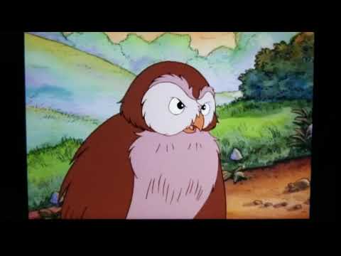 Owl - Cat's Shortcut