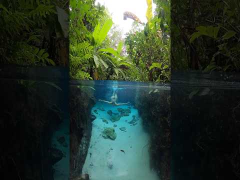 Água tão cristalina que parece editada…é o Fervedouro Buritizinho mostrando e a beleza do Jalapão