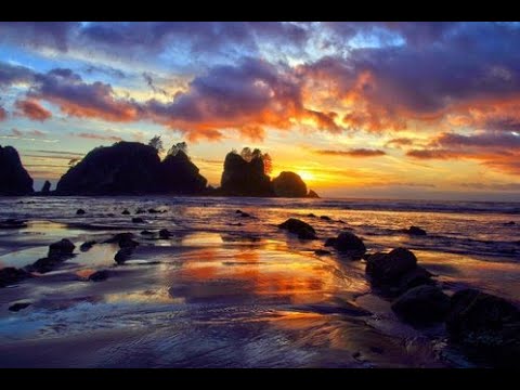 NAKHIYA - VENTO DI SPERANZA