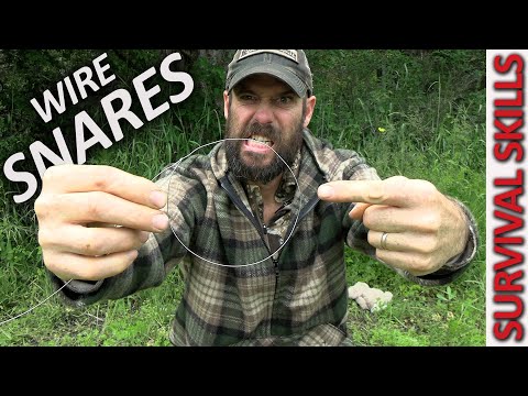 Rabbit Snaring 101 - Wire Survival Snares