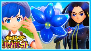 遂にチャンピオンと勝負！🔥ちろぴのポケモンスカーレット・バイオレット実況#16🔵【ポケモンSV】