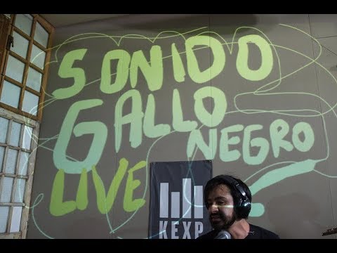 Sonido Gallo Negro - Full Performance (Live on KEXP)