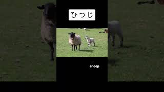 Download lagu ひ words fun!  #hiragana #hiraganapractice #japaneseforbeginners #japaneselanguage mp3