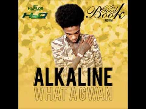 ALKALINE - WHA A GWAN - GOOD BOOK RIDDIM - H2O RECORDS - 21ST HAPILOS DIGITAL
