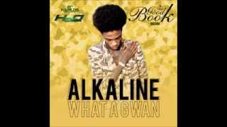 ALKALINE - WHA A GWAN - GOOD BOOK RIDDIM - H2O RECORDS - 21ST HAPILOS DIGITAL