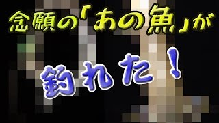 とうとう念願の「あの魚」を釣った！