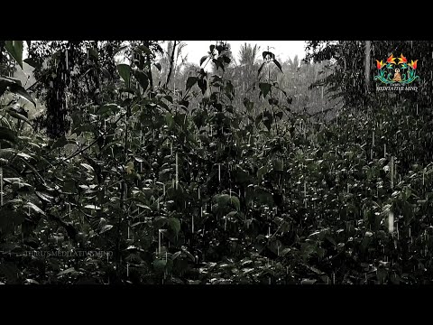 Night Rain In Springtime - 09 Hours of Crickets, frogs, rain, owls, chimes and Rain Sleep Sounds