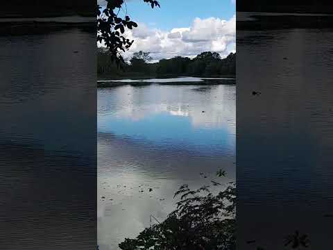 villa rio bermejito chaco después de la inundación