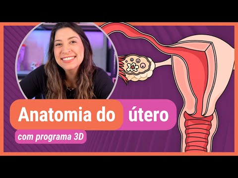 ANATOMY OF THE UTERUS! With 3D program