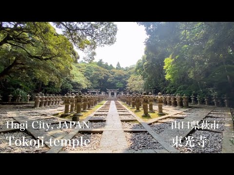 東光寺（Tokoji Temple）山口県萩市（Hagi City,JAPAN）