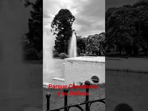 La Belleza de Parque Chacabuco en la Ciudad Autónoma de Buenos Aires Argentina #blancoynegro