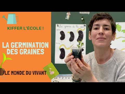 La germination des graines. Le monde du vivant.