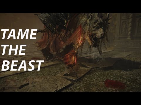 Divine Beast Dancing Lion | One Guide to Rule Them All