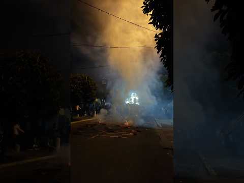 Virgen del Rosario - La Florida - Octubre 2026