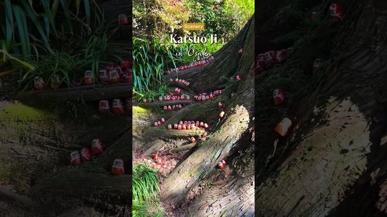 A temple in Japan where you can enjoy the stamp rally