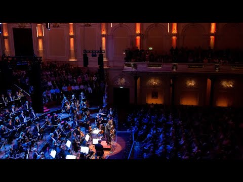 LIVE: Dominic Seldis met Music Maestro! LITE - BankGiro Loterij ZomerSessie