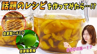 自家製ハチミツと自家製青梅で話題のレシピを作ってみたら○○○○みたいになった！？