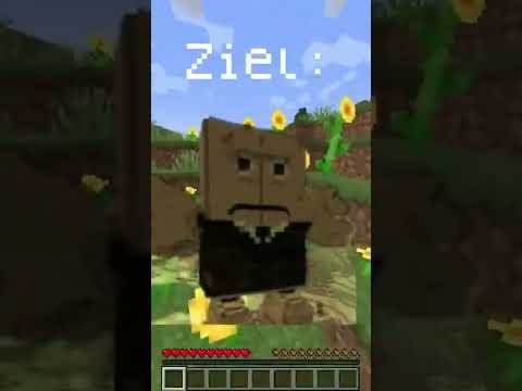 Minecraft Time Stop! Lolo Exe Goes Crazy! #ViralGaming