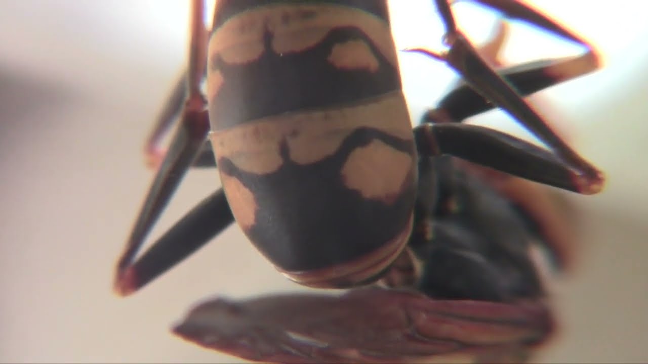 海千山千な関係