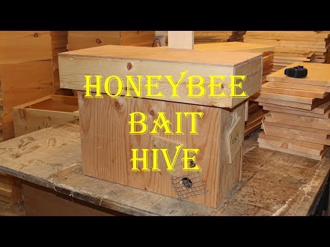 , title : 'Building a Honey Bee Bait Hive'