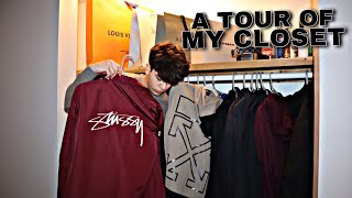 My ENTIRE Closet Tour ($3000+)