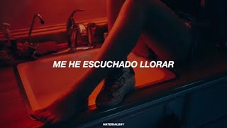 P!nk - Sober (Traducida al Español)