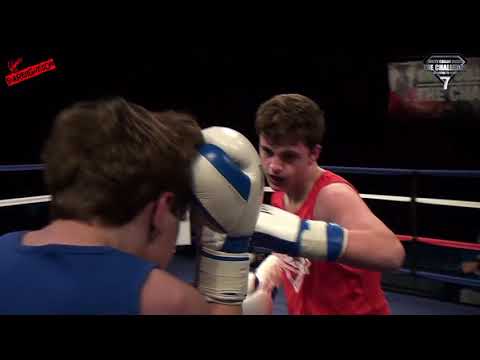 TMAS   White Collar Boxer 7   Cameron Darcy Vs Anthony Davis