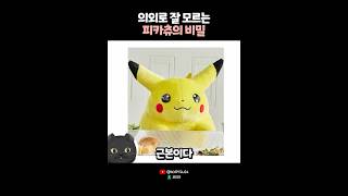 의외로 잘 모르는 피카츄의 비밀?