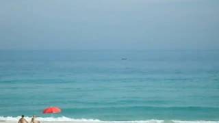 preview picture of video 'Orca em Praia Seca'