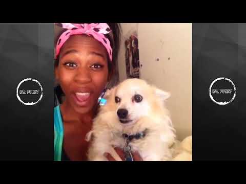 BEST AlliCattt Vines !!!!!!   AlliCattt Vine Compilation 2017   BEST VINES