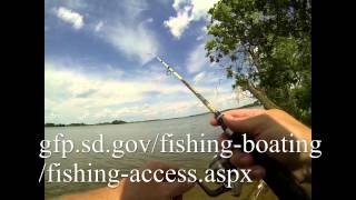 20 Minute Angler buffalo bluegills