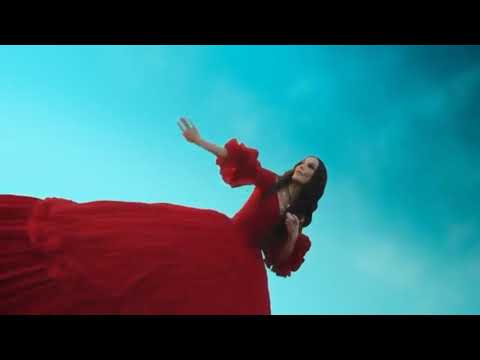 Pabllo vittar fet Ivete Sangalo -lovizinho (oficial music video)