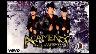 Los Chiquinarcos (En Vivo) Lyrics English Translation