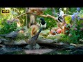 12 Hours Nature Fun For Cats Dogs Humans Alike 4K HDR