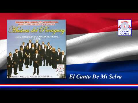 Orquesta De Cámara Municipal - El Canto De Mi Selva