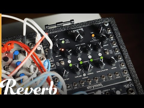 Strymon Magneto dTape Echo & Looper | Reverb Demo