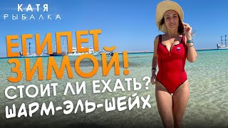 Рыбалка в шарм эль шейхе анжела карим