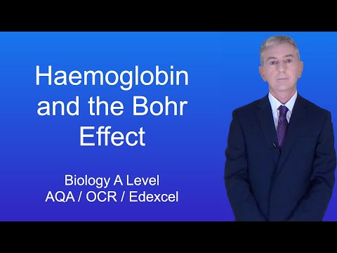 A Level Biology Revision "Haemoglobin and the Bohr Effect"