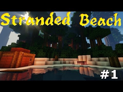 Learning the ropes-Stranded Beach#1