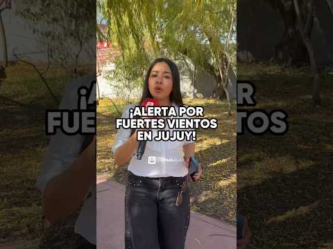 Alerta por fuertes vientos en Jujuy