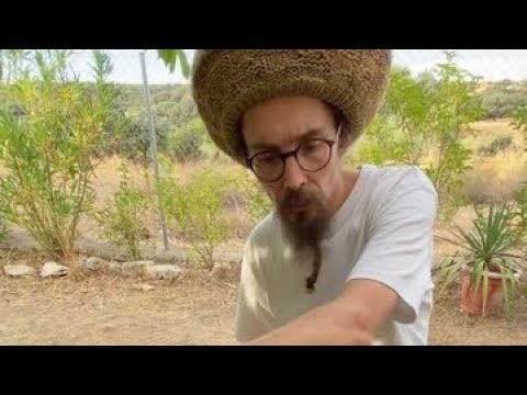 KIBIR LA AMLAK 🇬🇧 • Live Dub on Oxigenio Fm • #dub #dubreggae #dubmusic #livemusic